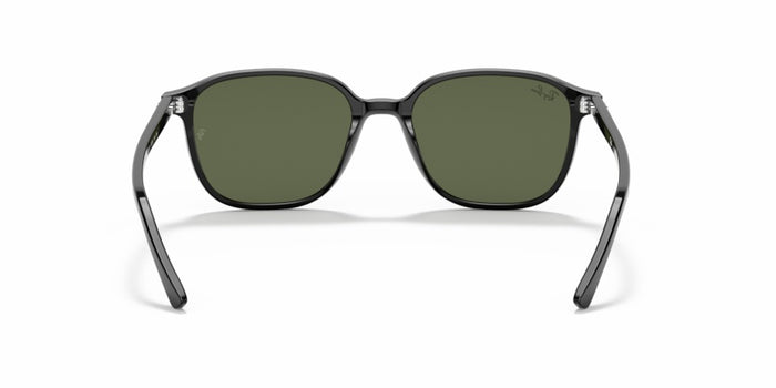 Sonnenbrillen Ray-Ban Leonard RB2193 901/31 53 18 — vista 5