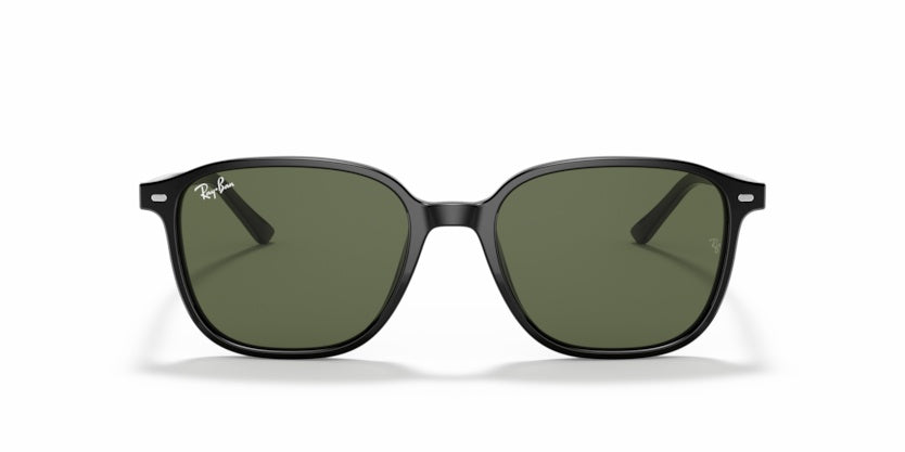 Gafas de Sol Ray-Ban Leonard RB2193 901/31 53 18