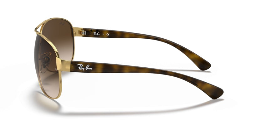Gafas de Sol Ray-Ban RB3386 001/13 67 13