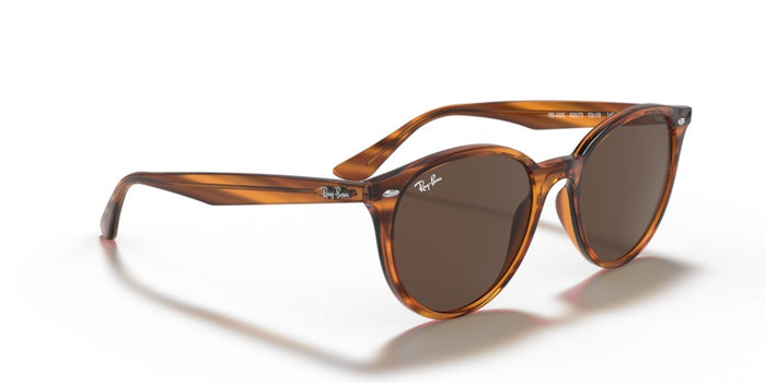 Sonnenbrillen Ray-Ban RB4305 820/73 53 19 — vista 5
