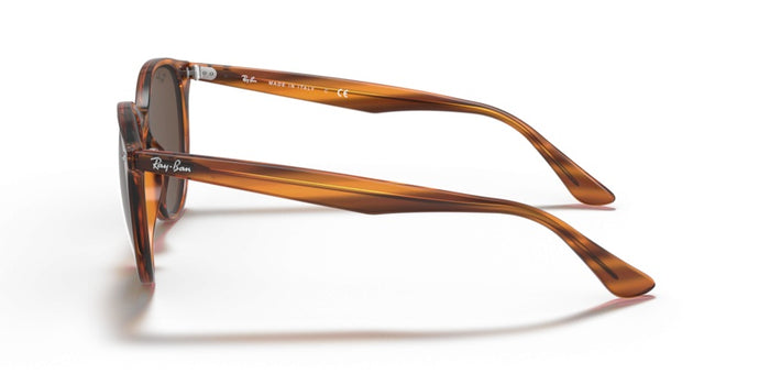 Sonnenbrillen Ray-Ban RB4305 820/73 53 19 — vista 3