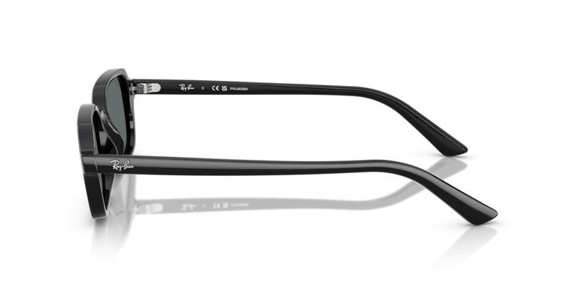 Gafas de Sol Ray-Ban RB4455 667781 52 19