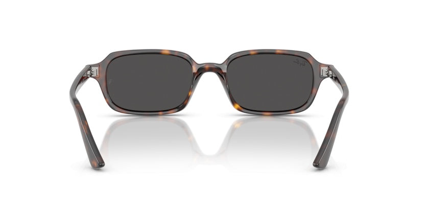 Gafas de Sol Ray-Ban RB4455 135987 52 19