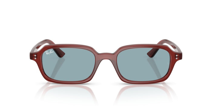 Sonnenbrillen Ray-Ban RB4455 680980 52 19 — vista 2