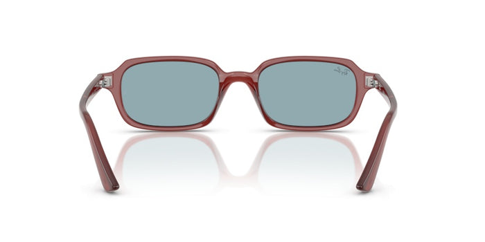 Sonnenbrillen Ray-Ban RB4455 680980 52 19 — vista 5