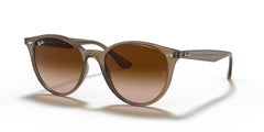 Sonnenbrillen Ray-Ban RB4305 616613 53 19