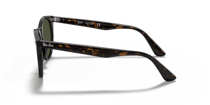 Gafas de Sol Ray-Ban Wayfarer II RB2185 902/31 55 18