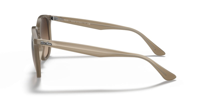 Gafas de Sol Ray-Ban RB4306 616613 54 19