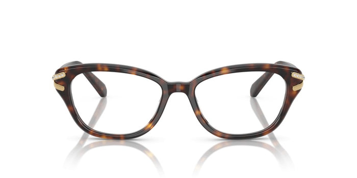 Prescription Glasses Swarovski SK2032 1002 54 17 — vista 2