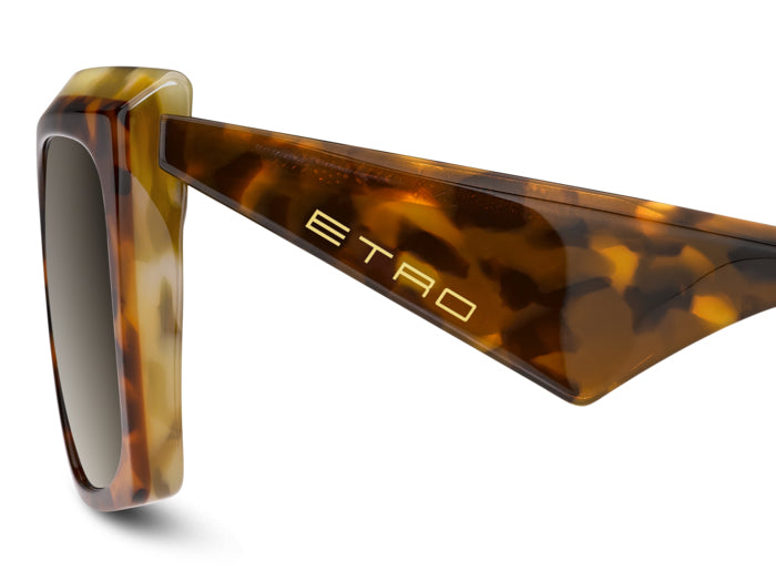 Солнцезащитные очки Etro 0117/S P65HA 57 19 — vista 4