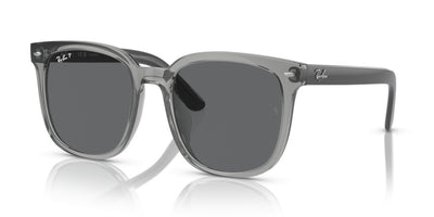 Sonnenbrillen Ray-Ban RB4401D 659981 57 20