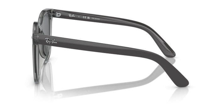 Gafas de Sol Ray-Ban RB4401D 659981 57 20 — vista 3