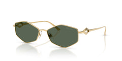 Sonnenbrillen Jimmy Choo JC4017 302371 55 16
