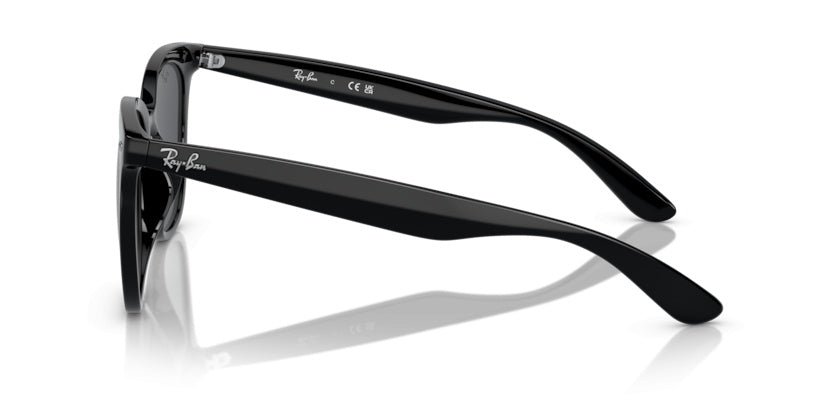 Gafas de Sol Ray-Ban RB4379D 601/87 55 19
