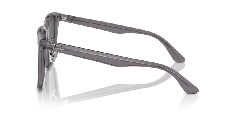 Gafas de Sol Ray-Ban RB2206D 139987 57 18