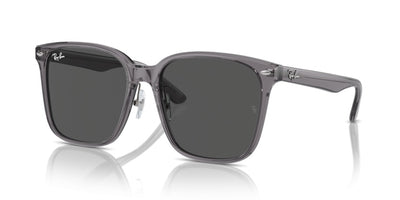 Sonnenbrillen Ray-Ban RB2206D 139987 57 18