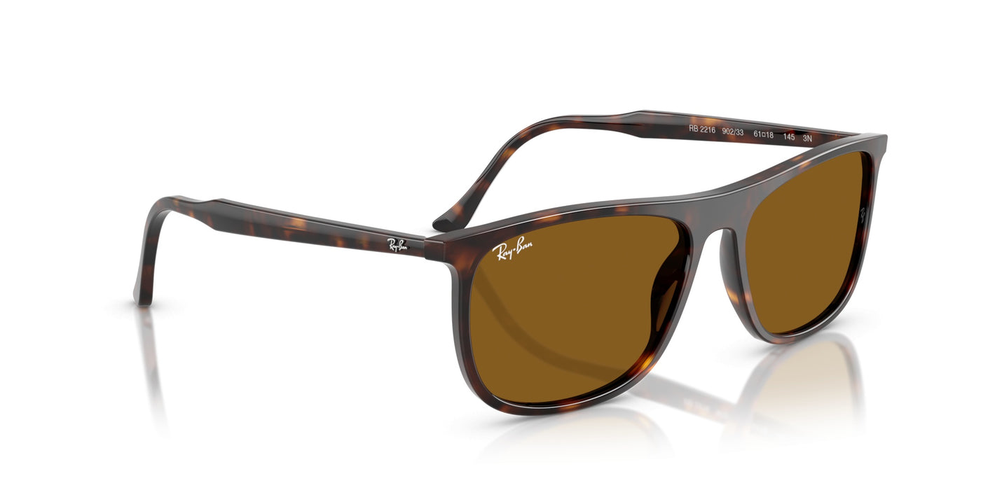 Gafas de Sol Ray-Ban RB2216 902/33 61 18
