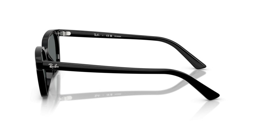 Gafas de Sol Ray-Ban RB4456 667781 53 19