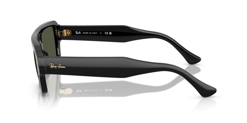 Gafas de Sol Ray-Ban RB4454 667731 56 20