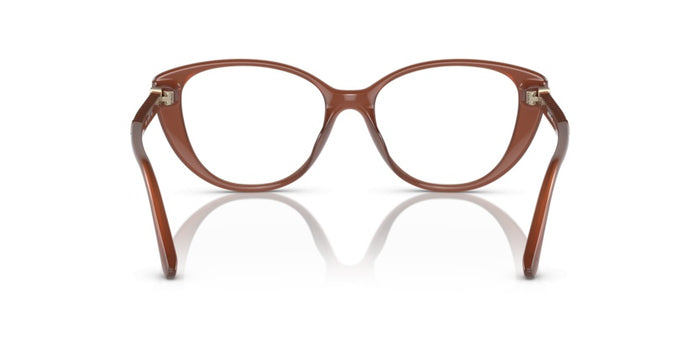 Michael Kors Amagansett MK4102U 3548 53 16 近视眼镜 — vista 5