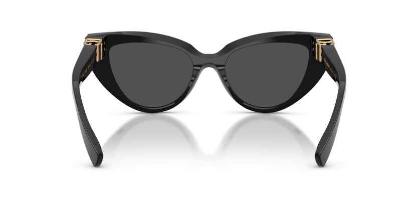 Gafas de Sol Dolce Gabbana DG4497 501/87 52 18