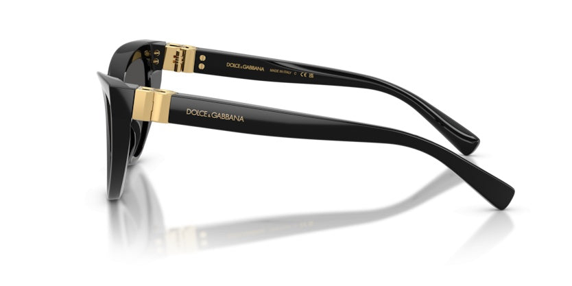 Gafas de Sol Dolce Gabbana DG4497 501/87 52 18