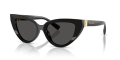 Sonnenbrillen Dolce Gabbana DG4497 501/87 52 18