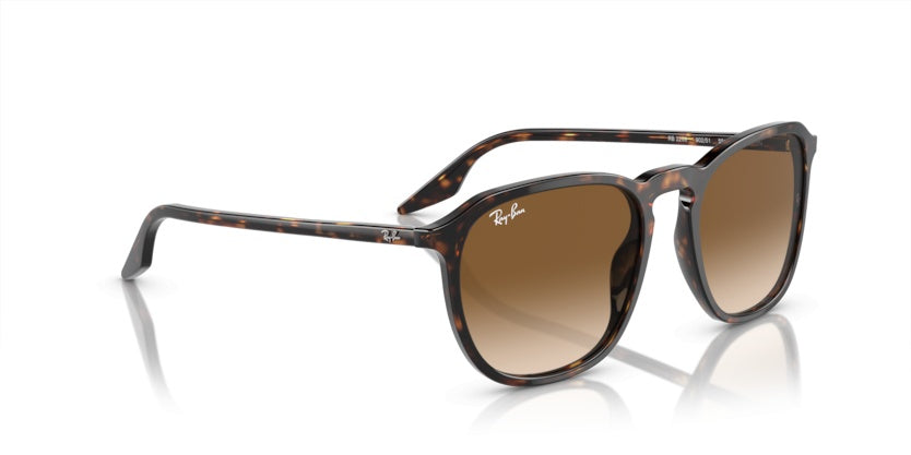 Gafas de Sol Ray-Ban RB2203 902/51 55 20