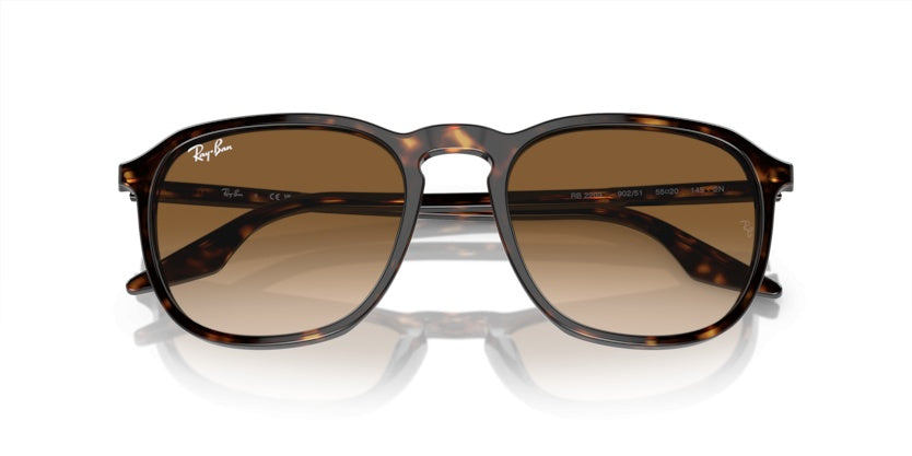 Gafas de Sol Ray-Ban RB2203 902/51 55 20