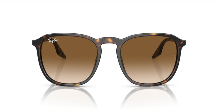 Gafas de Sol Ray-Ban RB2203 902/51 55 20 — vista 2