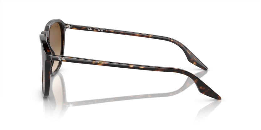 Gafas de Sol Ray-Ban RB2203 902/51 55 20