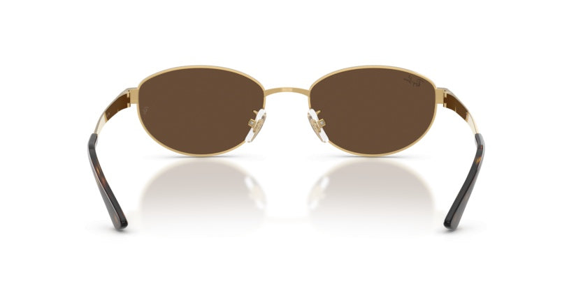 Gafas de Sol Ray-Ban RB3774D 001/73 55 19