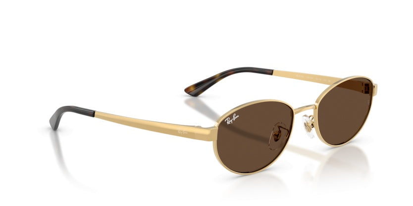 Gafas de Sol Ray-Ban RB3774D 001/73 55 19