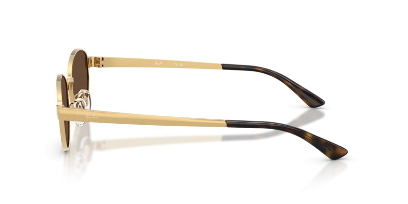 Gafas de Sol Ray-Ban RB3774D 001/73 55 19