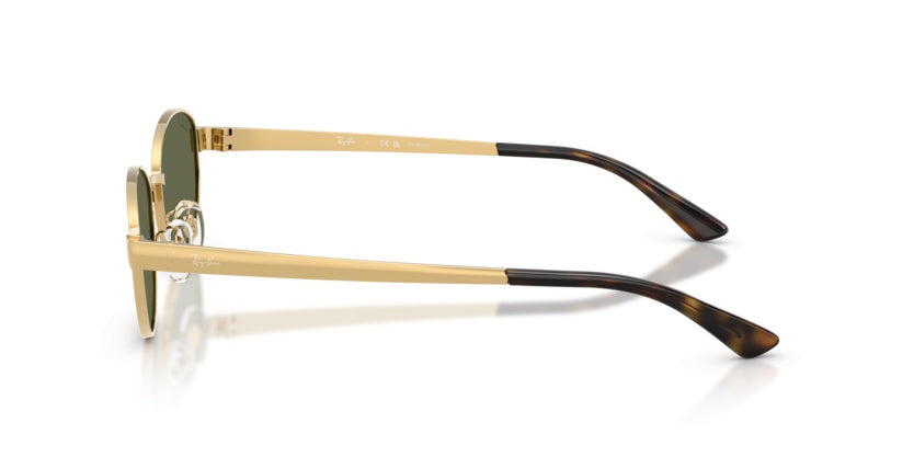 Gafas de Sol Ray-Ban RB3774D 001/9A 55 19