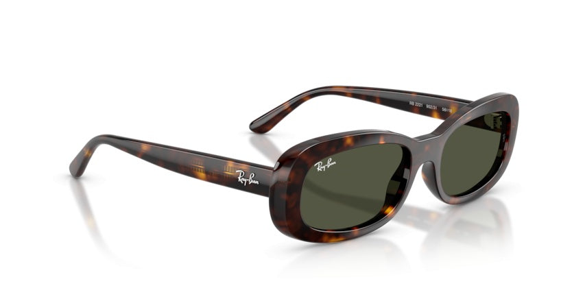 Gafas de Sol Ray-Ban RB2221 902/31 56 18