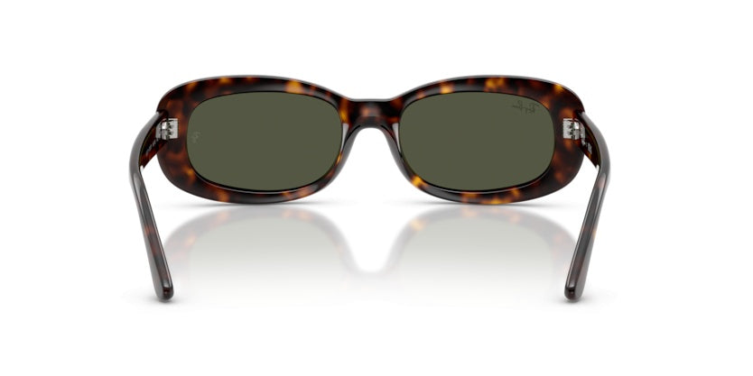 Gafas de Sol Ray-Ban RB2221 902/31 56 18