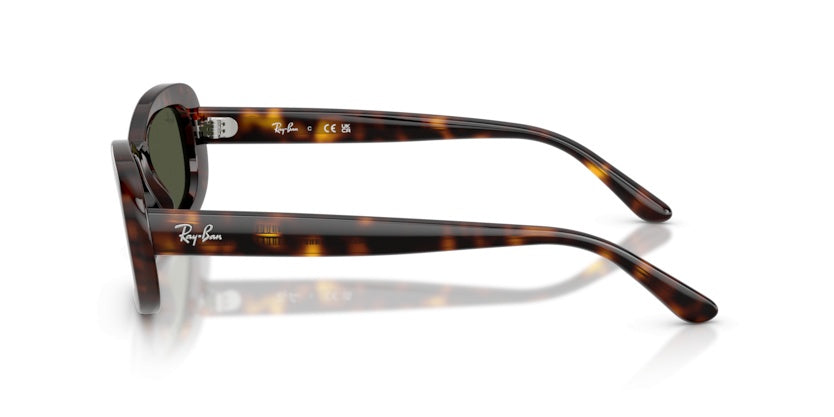 Gafas de Sol Ray-Ban RB2221 902/31 56 18