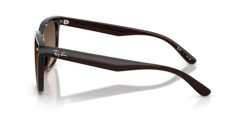 Gafas de Sol Ray-Ban RB4466D 714/13 47 14