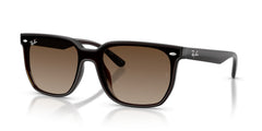 Sonnenbrillen Ray-Ban RB4466D 714/13 47 14