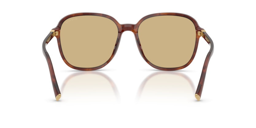 Gafas de Sol Miu Miu B01S 26E10R 58 18