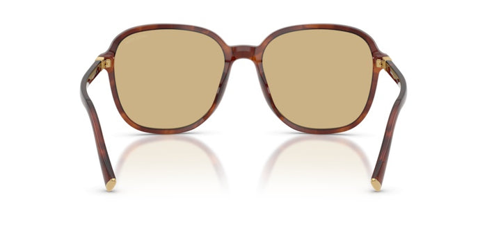 Lunettes de Soleil Miu Miu B01S 26E10R 58 18 — vista 4