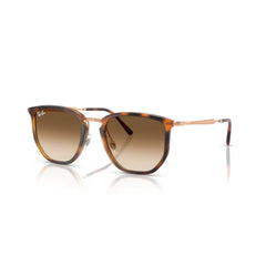 Sunglasses Ray-Ban RB4451 680451 53 20