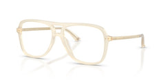 Korrektionsbrillen Jimmy Choo JC3052U 5089 55 15