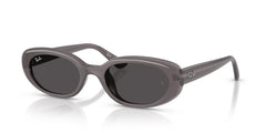 Sonnenbrillen Ray-Ban RB4441D 677787 53 21