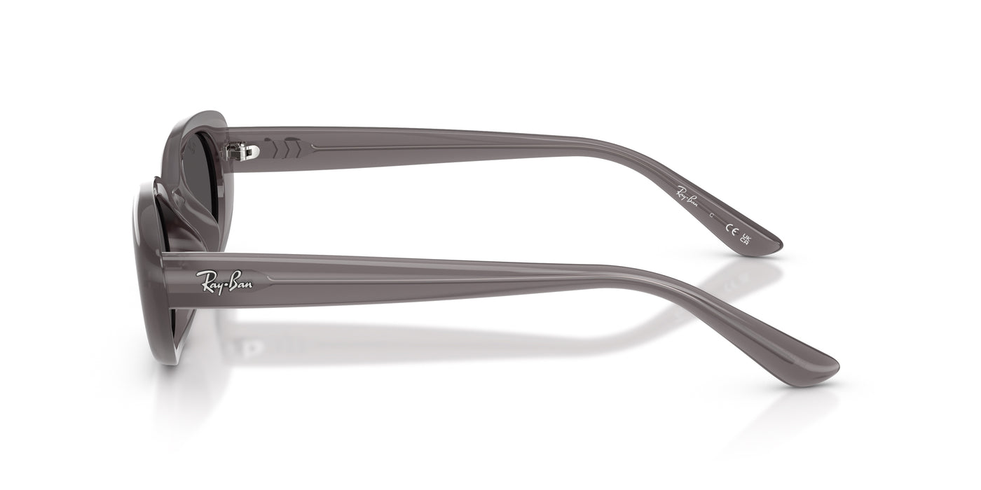 Gafas de Sol Ray-Ban RB4441D 677787 53 21