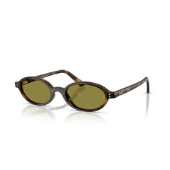 Sunglasses Ray-Ban RB4472 1359/2 51 20