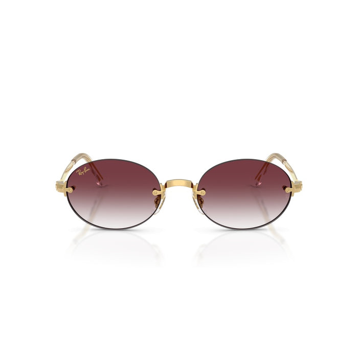 Sonnenbrillen Ray-Ban RB3929 001/8H 54 20 — vista 2