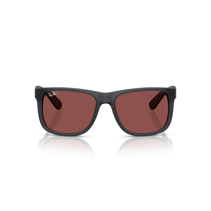 Sonnenbrillen Ray-Ban Justin RB4165 687375 55 16 — vista 2