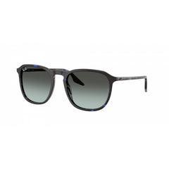 Sunglasses Ray-Ban RB2203 1430GK 55 20